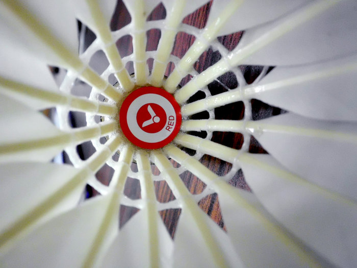 02.JPG (237.24 KiB) 已瀏覽 5927 次 02.JPG