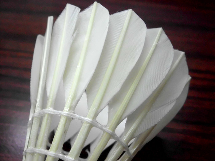 03.JPG (221.98 KiB) 已瀏覽 5927 次 03.JPG